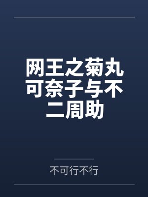 丁大哥素梅封面