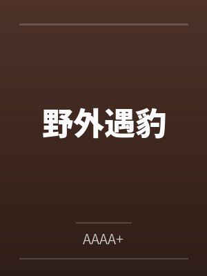 苏晚林昭四人成欢封面