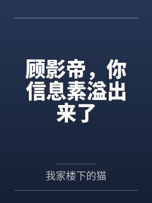纵横四海封面