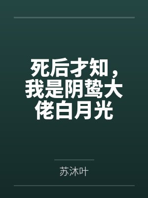 林风神医的小说叫啥封面